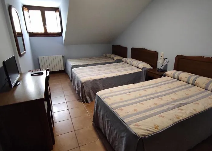 安东林康酒店 酒店