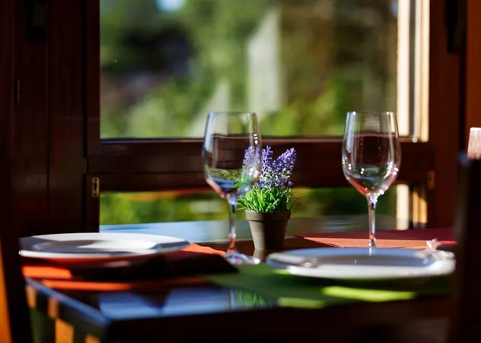 安东林康酒店 酒店