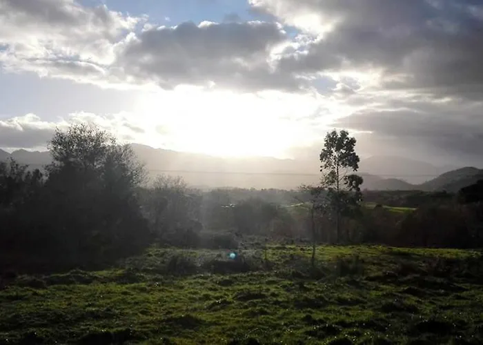 安东林康酒店 酒店 3*